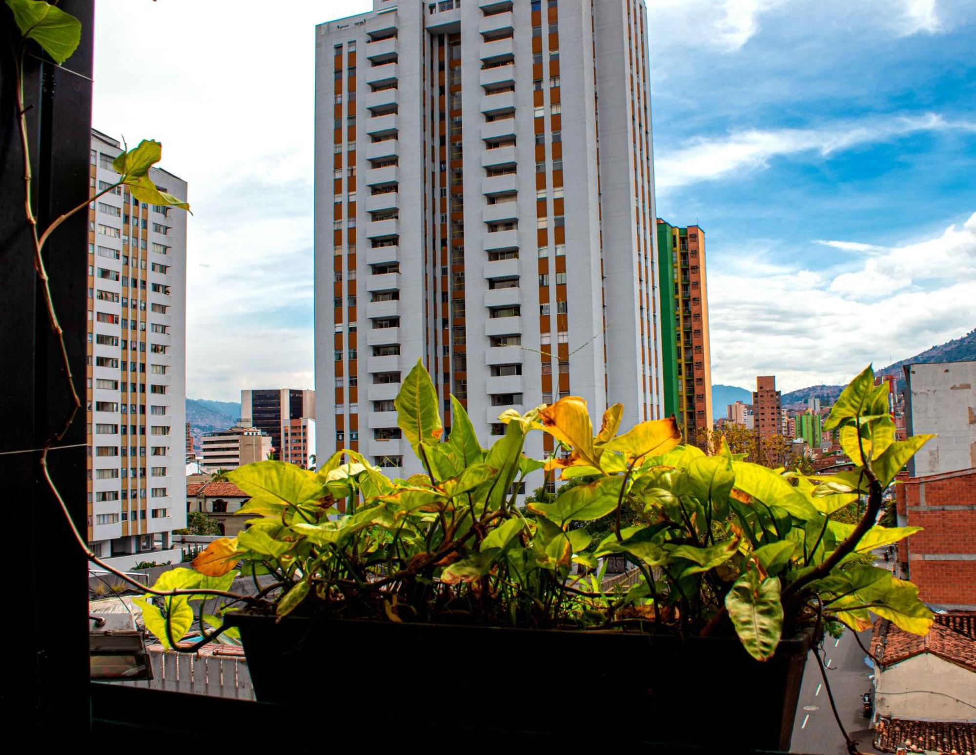 Hotel Medellin Arte Medellín Exterior foto